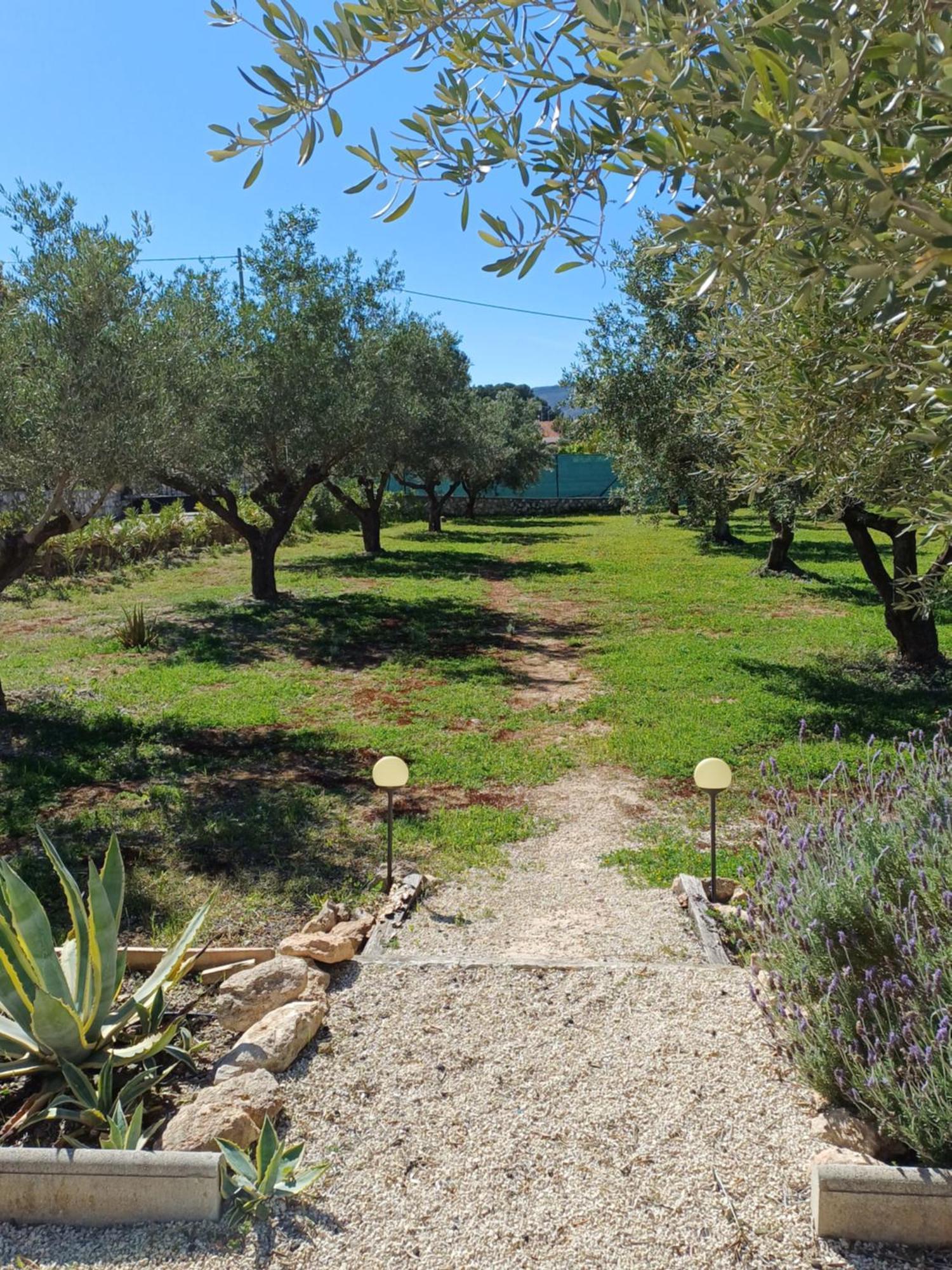 B&B Casa Vitalidad Ontinyent Eksteriør bilde